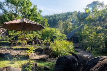 forest-heaven-eco-resort-more-pic004